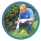 pest control services